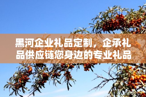 黑河企业礼品定制，企承礼品供应链您身边的专业礼品定制公司